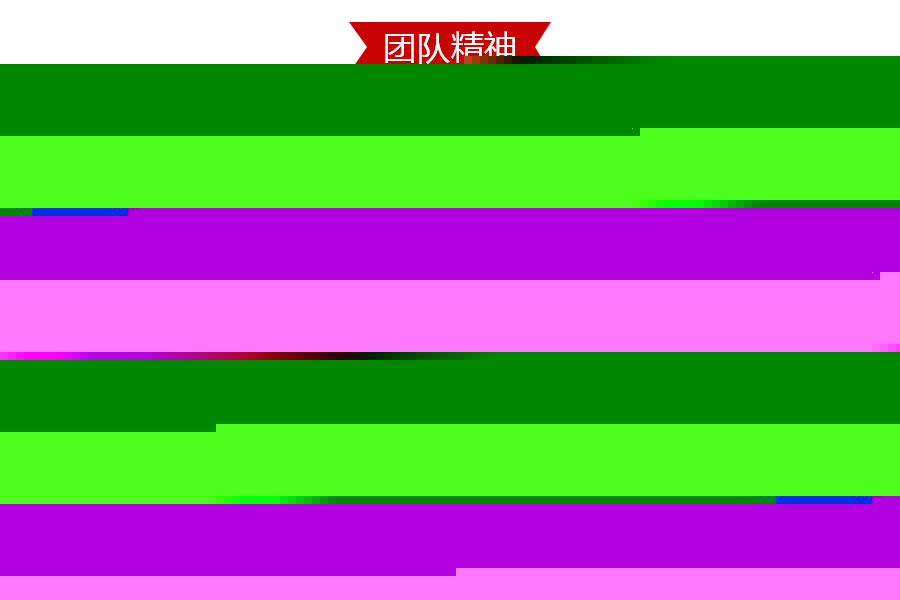 团队.jpg